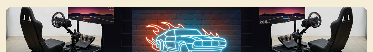 Adult racing sim zone